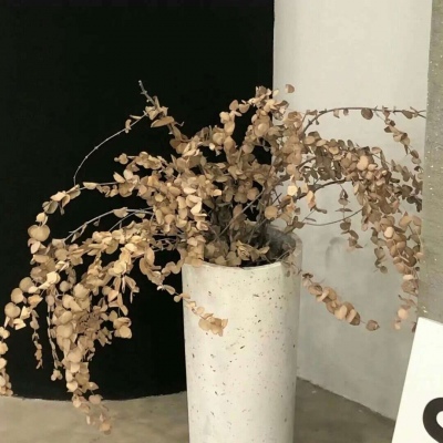 兽设Q版设计教程兽圈群